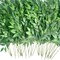 40pcs Artificial Italian Ruscus Greenery Stems -Faux Green Leaf Garland Silk Greenery Leaves for DIY Wedding Arch Bouquet Filler Table Centerpieces Home Indoor Decor (Green-40 Pcs)